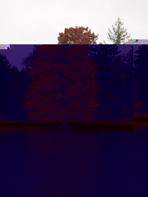 PB220557a.jpg